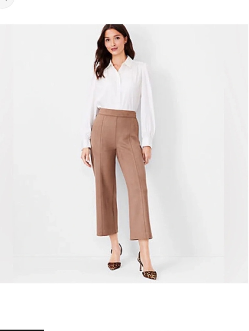 Ann Taylor Cropped Wide-Leg Pants in Camel